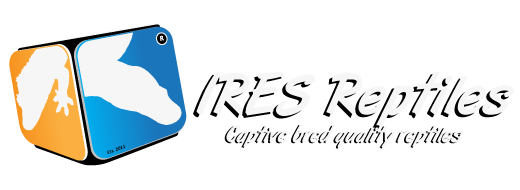Welcome at IRES-Reptiles breeder of quality reptiles. Our website has moved to www.ires-reptiles.com . Sorry for the inconvenience.
